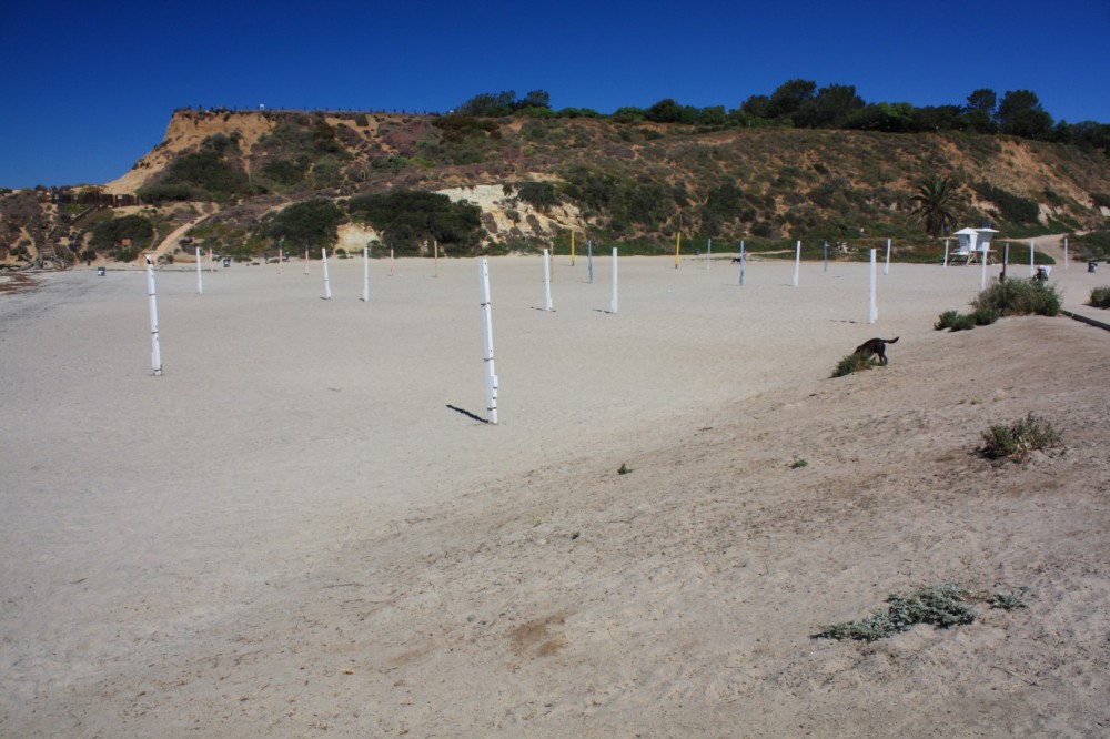Del Mar Dog Beach – North Beach