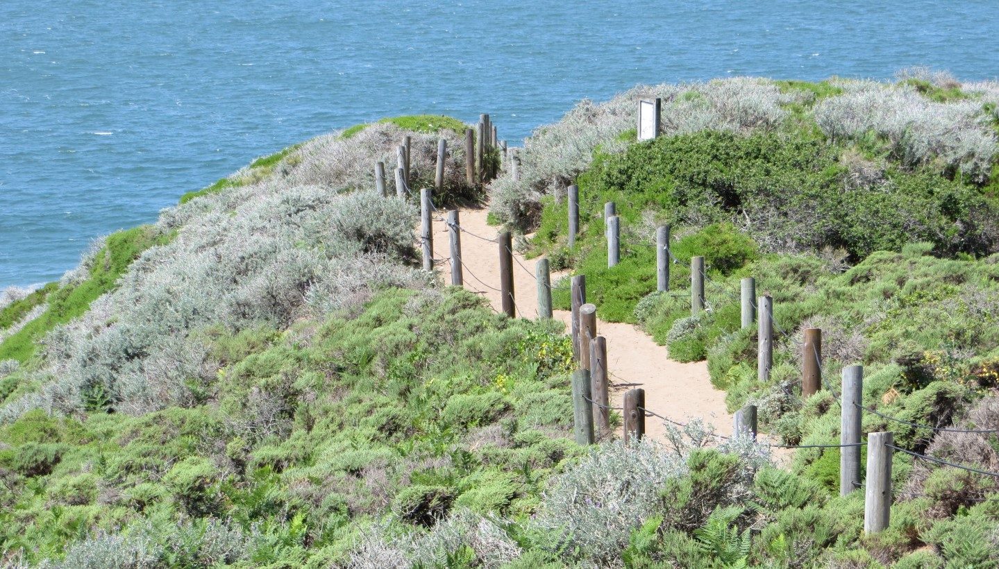 8 of the Best Coastal Hikes in California for Views of the Pacific Ocean