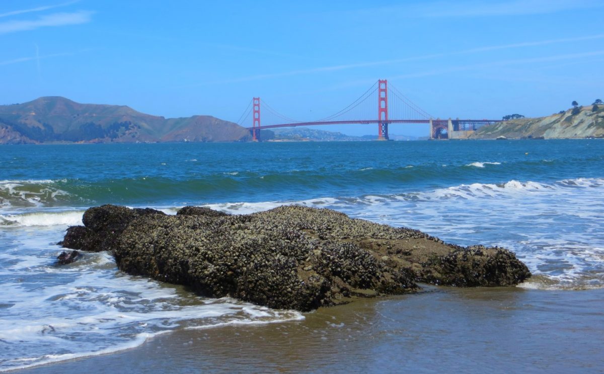 12 San Francisco Beaches