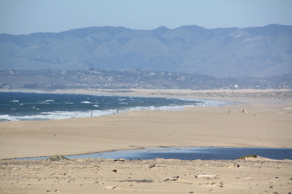Rancho Guadalupe Dunes Preserve