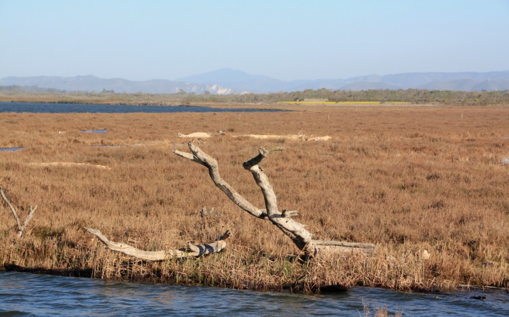 Ocean Beach Park, Lompoc, CA California Beaches