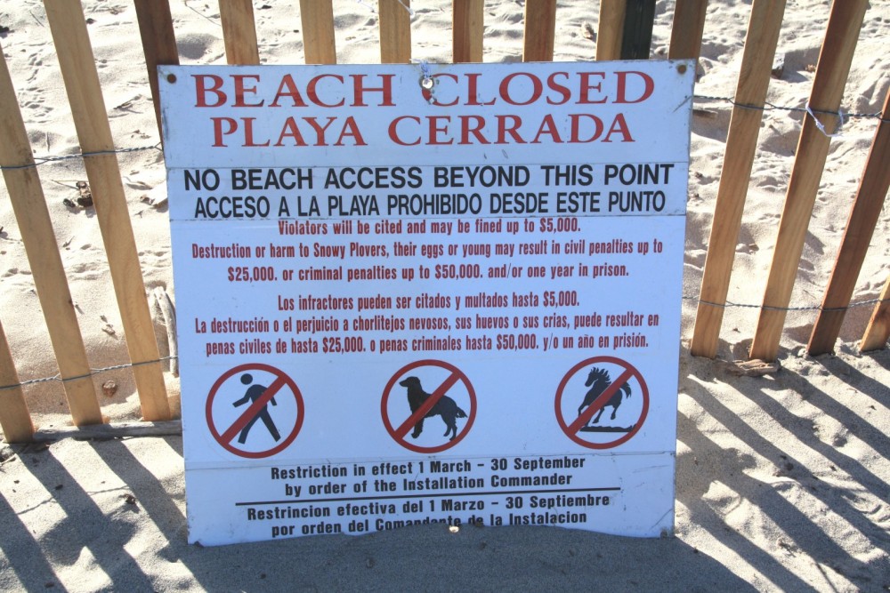 Ocean Beach Park, Lompoc, CA California Beaches