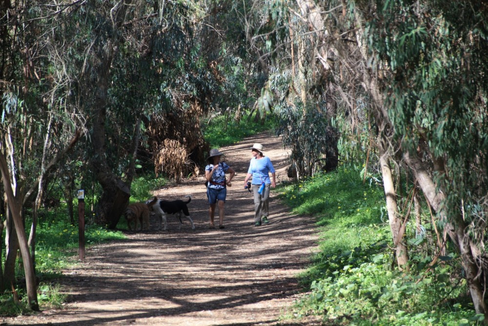 Ellwood Beach in Goleta, CA California Beaches
