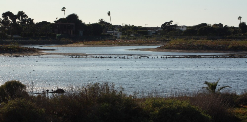 Malibu Lagoon State Beach in Malibu, CA California Beaches