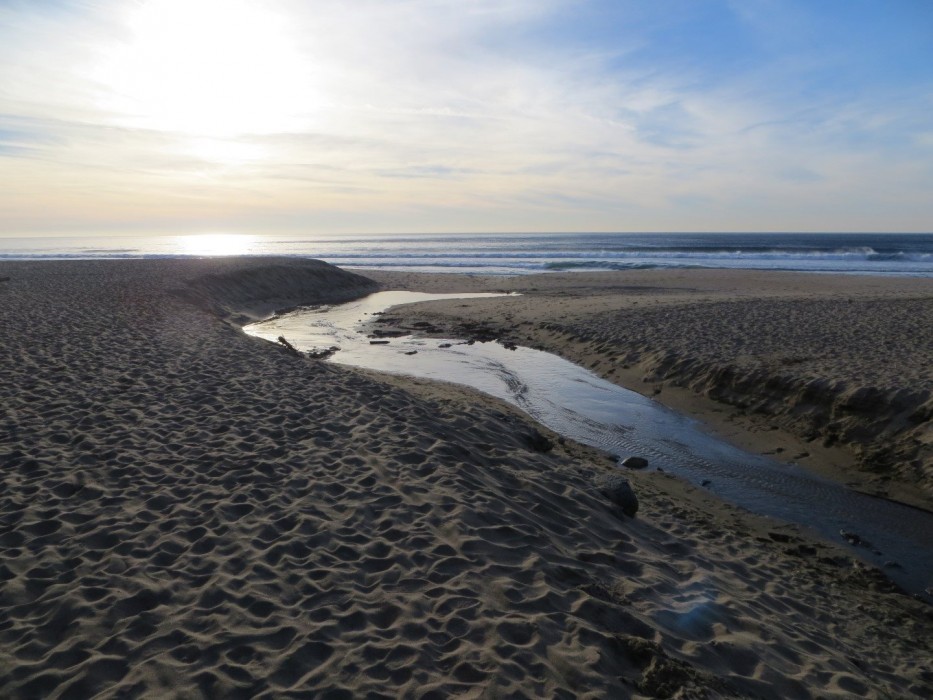 Gray Whale Cove State Beach Montara California 5d22618 