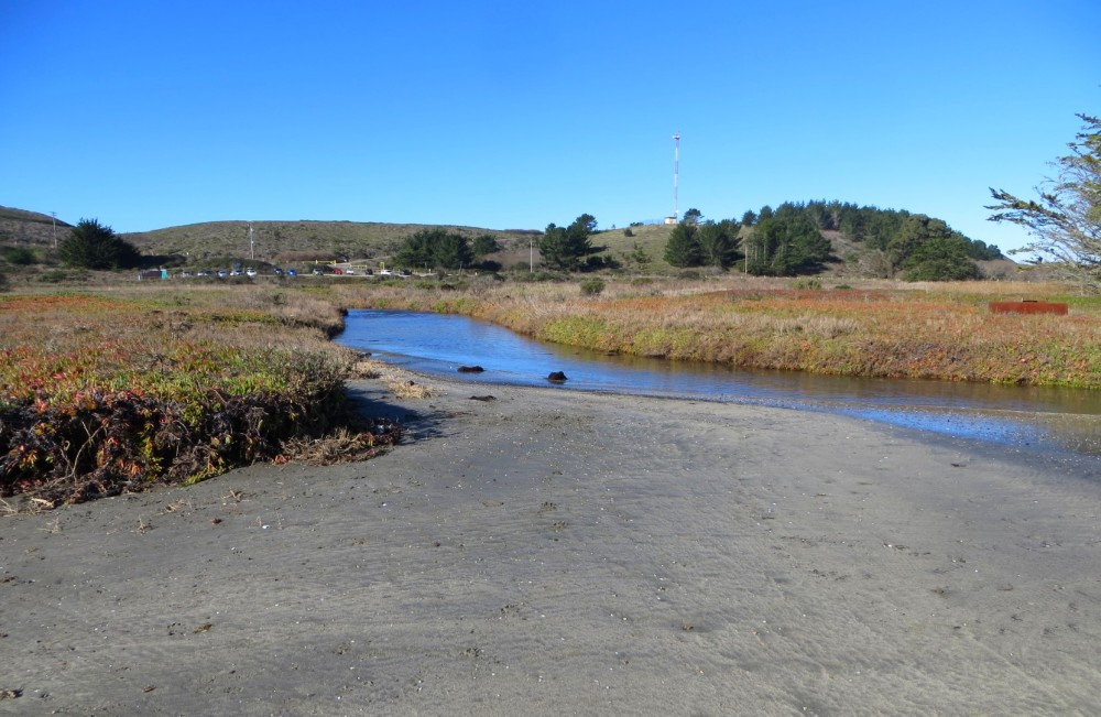 Pillar Point Marsh Beach