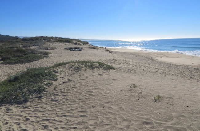 Roosevelt Beach – Half Moon Bay State Beach