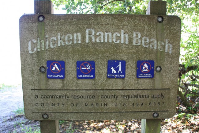 Chicken Ranch Beach