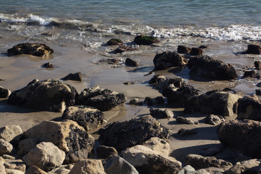 Dan Blocker County Beach