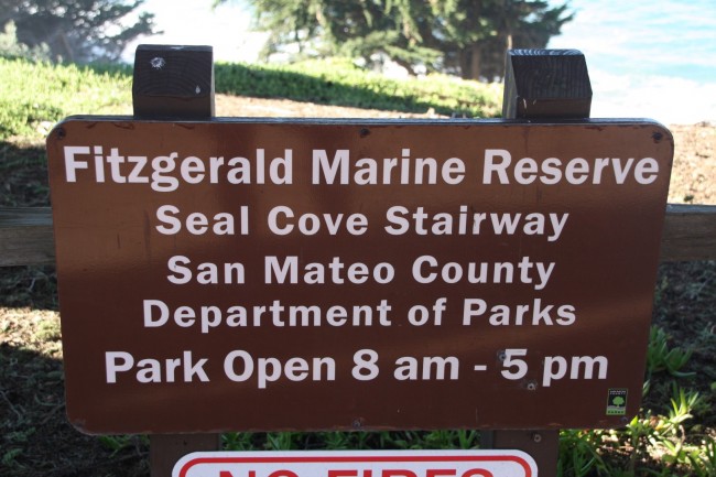 Seal Cove