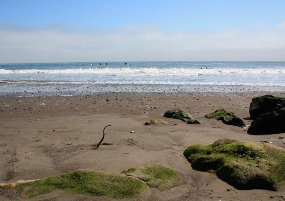 Bolinas Beach, Bolinas, CA California Beaches