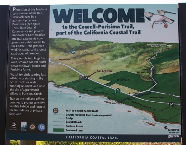 CowellPurisima Trail, Half Moon Bay, CA California Beaches