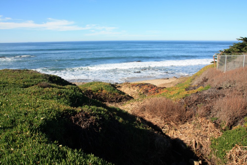 Pescadero Point Beach