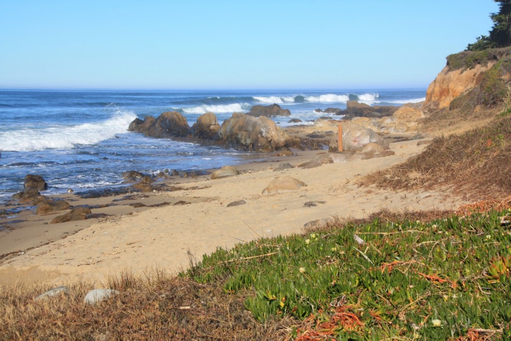 Pescadero Point Beach