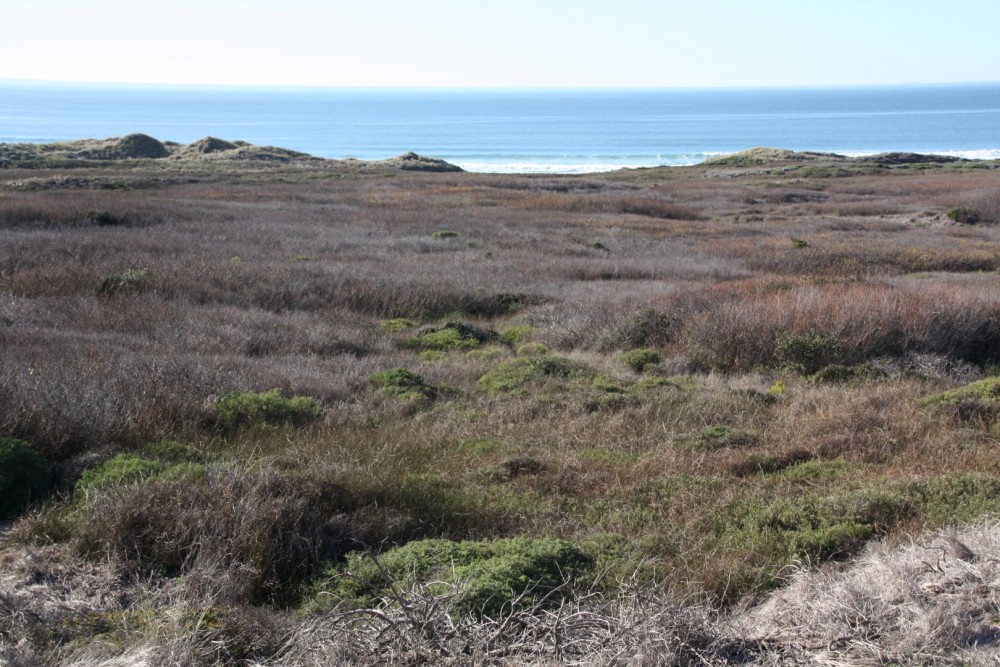 Franklin Point Beach