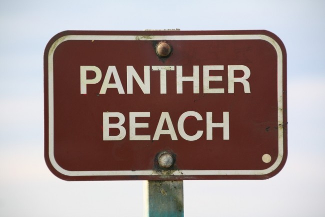 Panther Beach