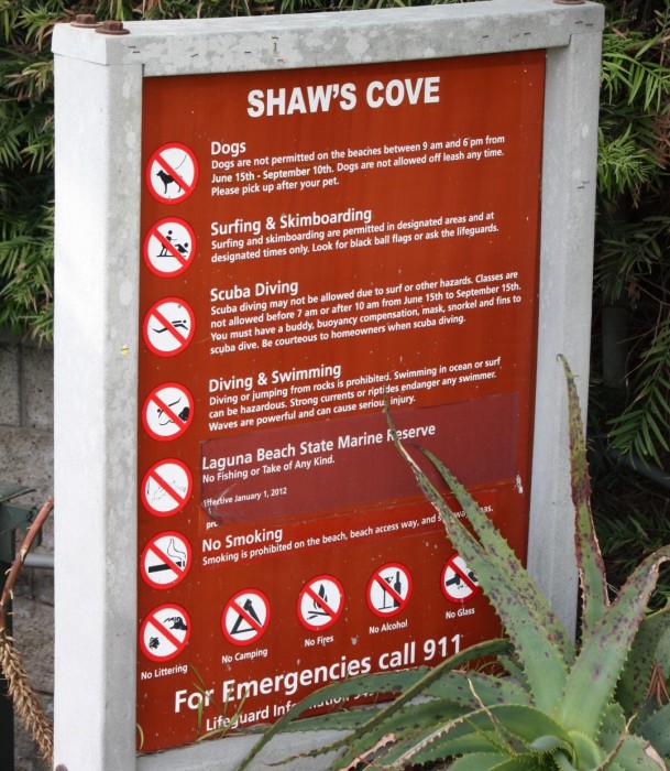 Shaw’s Cove Beach