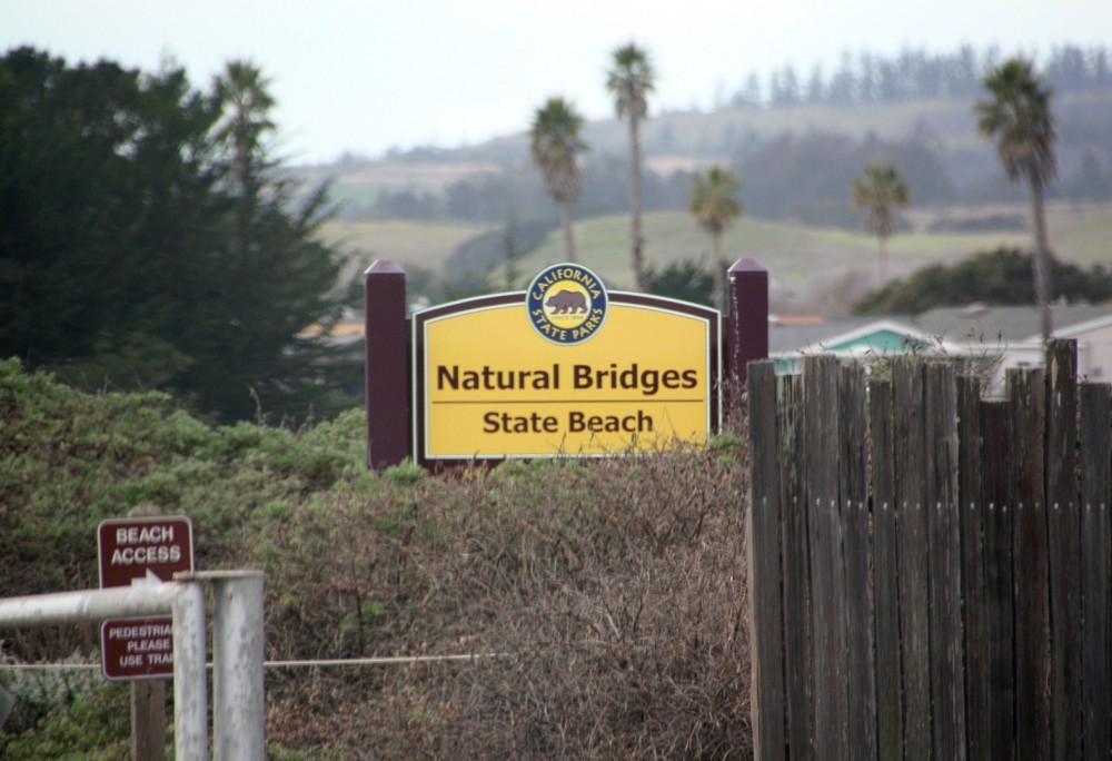 Natural Bridges State Beach in Santa Cruz, CA California Beaches
