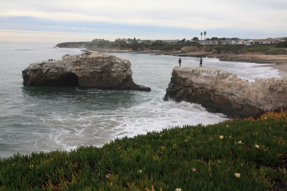 Natural Bridges State Beach in Santa Cruz, CA California Beaches