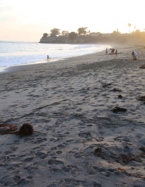 Leadbetter Beach in Santa Barbara, CA California Beaches