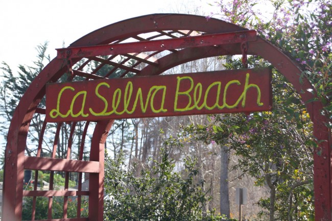 La Selva Beach Watsonville Ca California Beaches