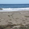 San Simeon Creek Beach