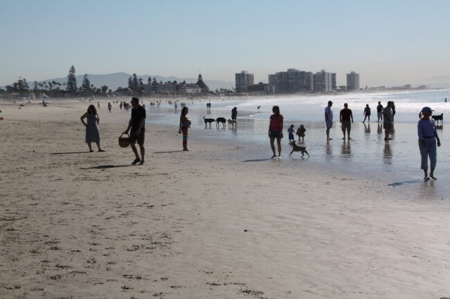 Coronado Dog Run Beach