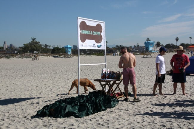 Coronado Dog Run Beach