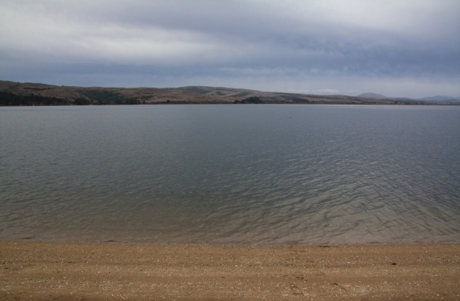 Indian Beach at Tomales Bay State Park