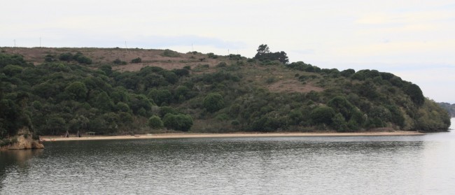 Indian Beach at Tomales Bay State Park