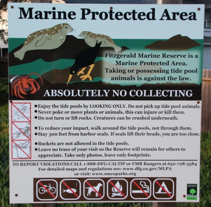 Tide Chart Fitzgerald Marine Reserve