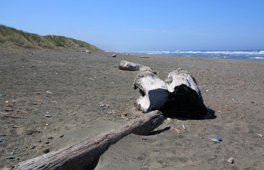 Kellogg Beach, Crescent City, CA California Beaches