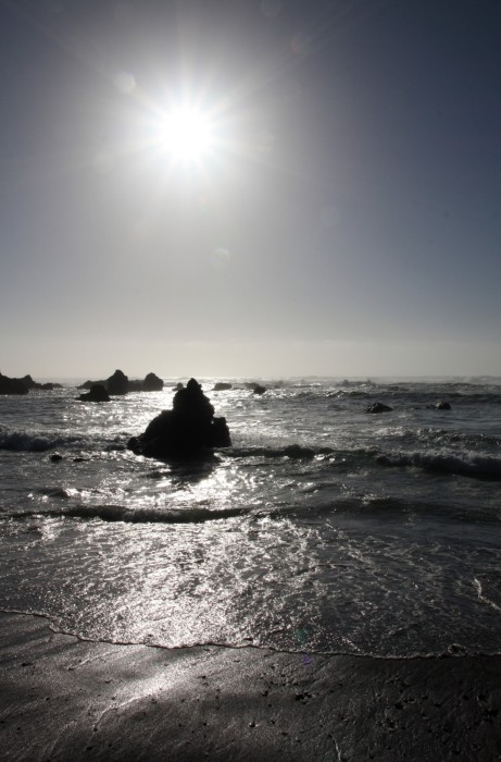 Laguna Point at MacKerricher State Park