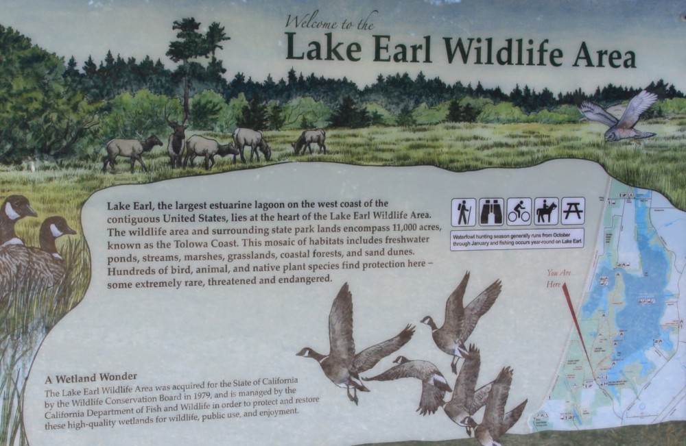 Lake Earl Wildlife Area, Crescent City, CA