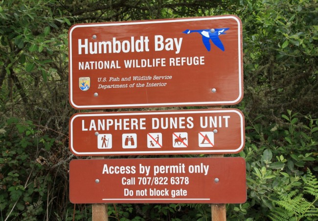 Lanphere Dunes Arcata CA California Beaches