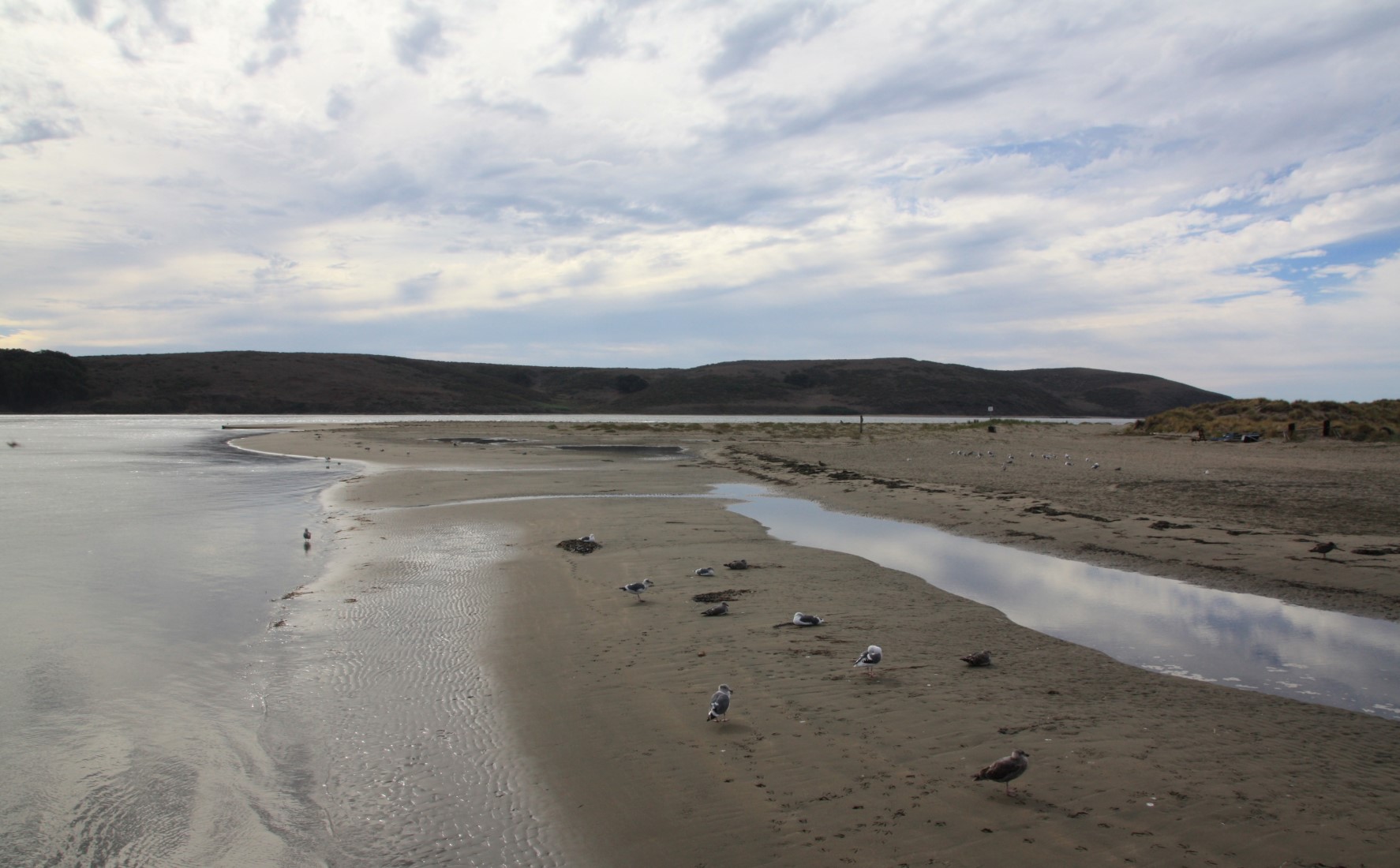 Dillon Beach in Dillon Beach, CA California Beaches