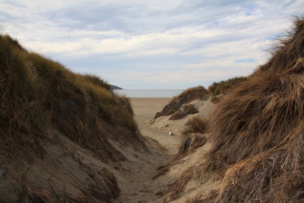 Lawson’s Landing Beach in Dillon Beach, CA California Beaches