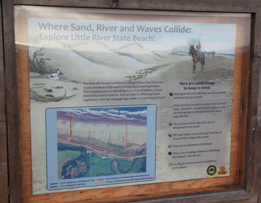 York River State Park Tide Chart