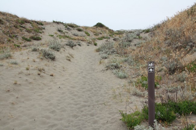 Ma le l Dunes North Unit Arcata CA California Beaches