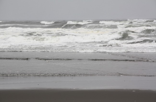 Ma le l Dunes South Unit Arcata CA California Beaches