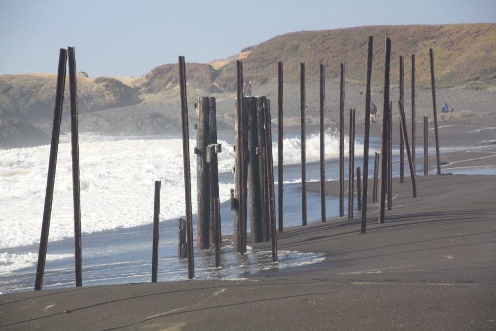 MacKerricher State Park