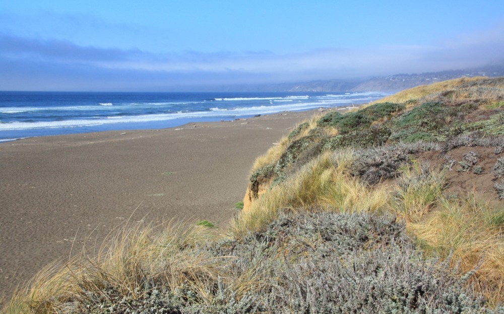 Manchester State Park Beach, Manchester, CA California Beaches