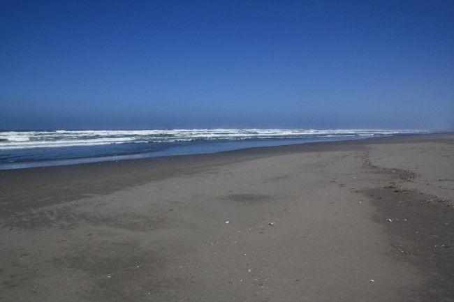 Manila Dunes Recreation Area Arcata CA California Beaches