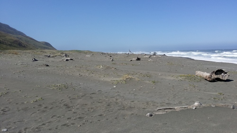 Mattole River Beach in Petrolia, CA California Beaches