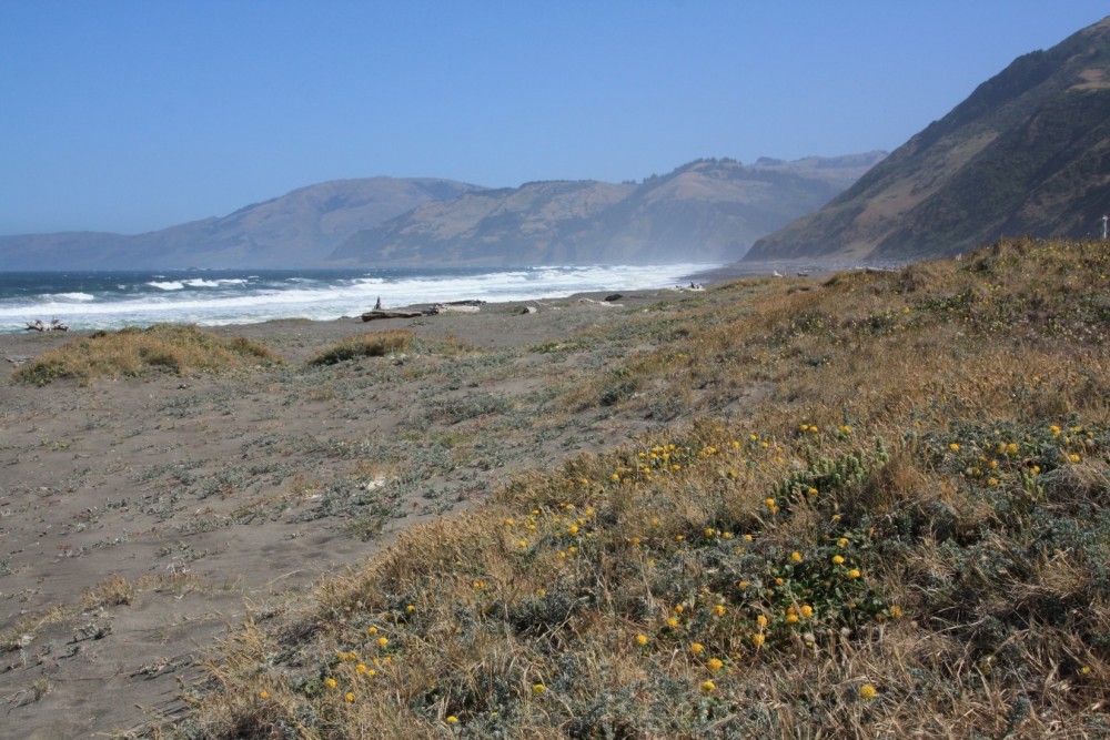 Mattole River Beach in Petrolia, CA California Beaches