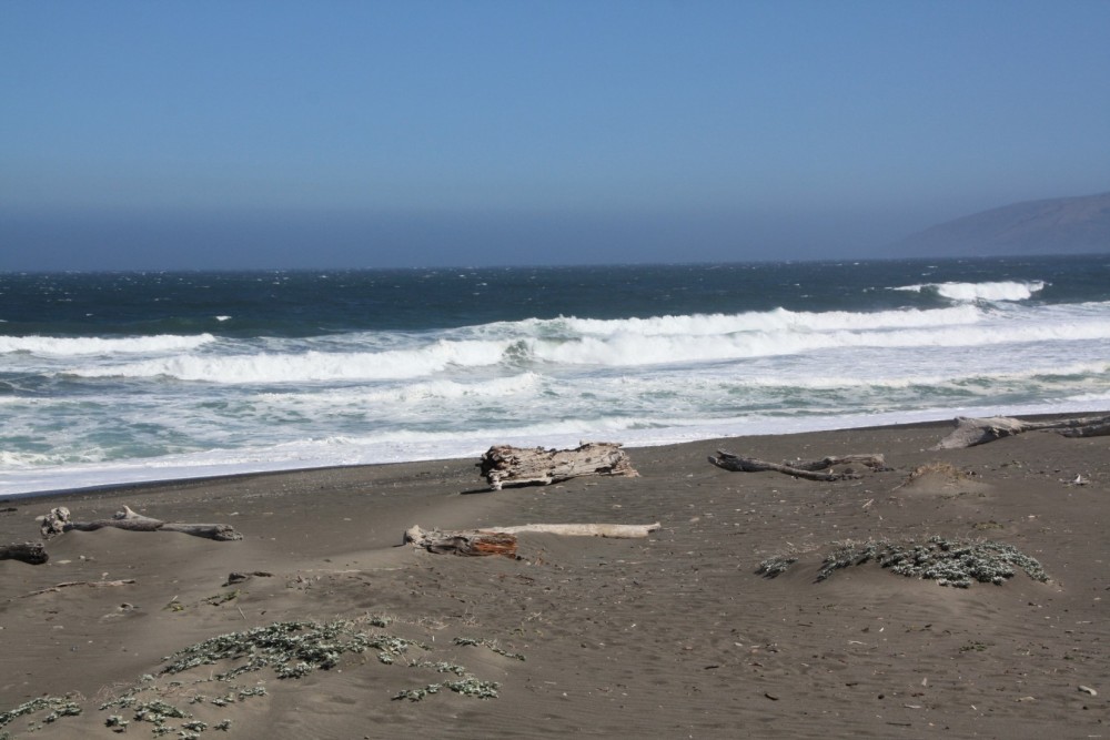 Mattole River Beach