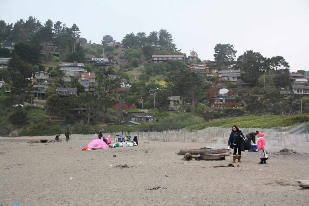 Muir Beach, Muir Beach, CA California Beaches