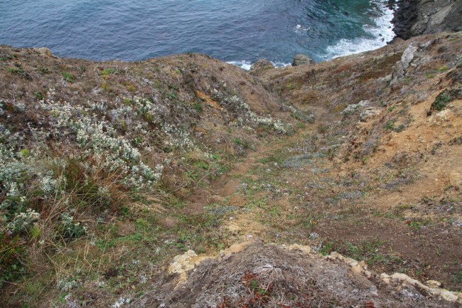 Navarro Point Preserve