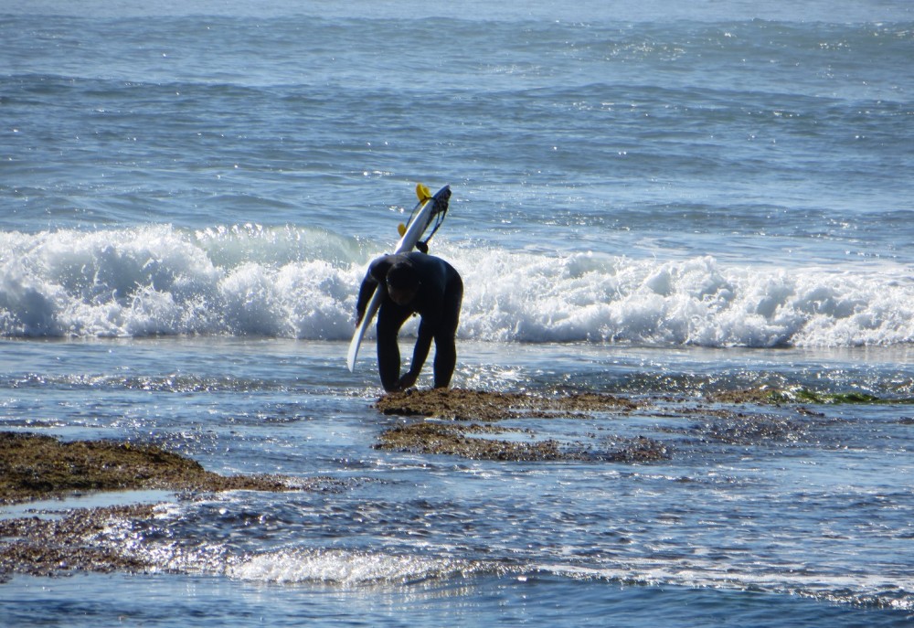 hotels ocean beach san diego ca