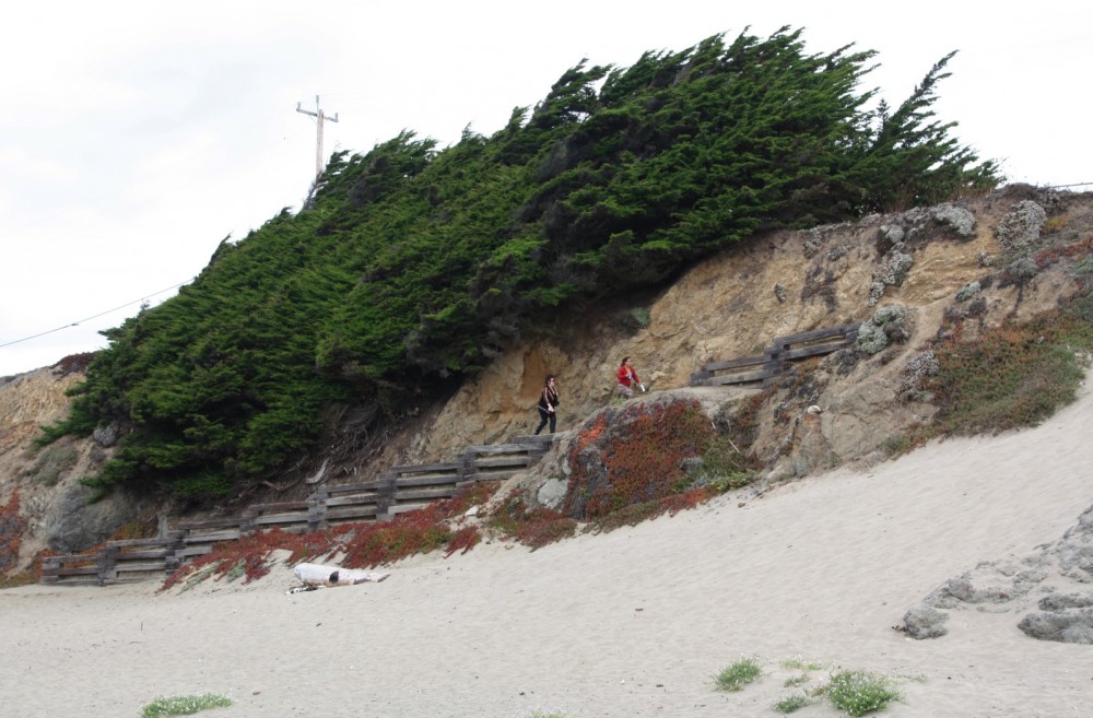 North Salmon Creek Beach in Bodega Bay, CA California Beaches